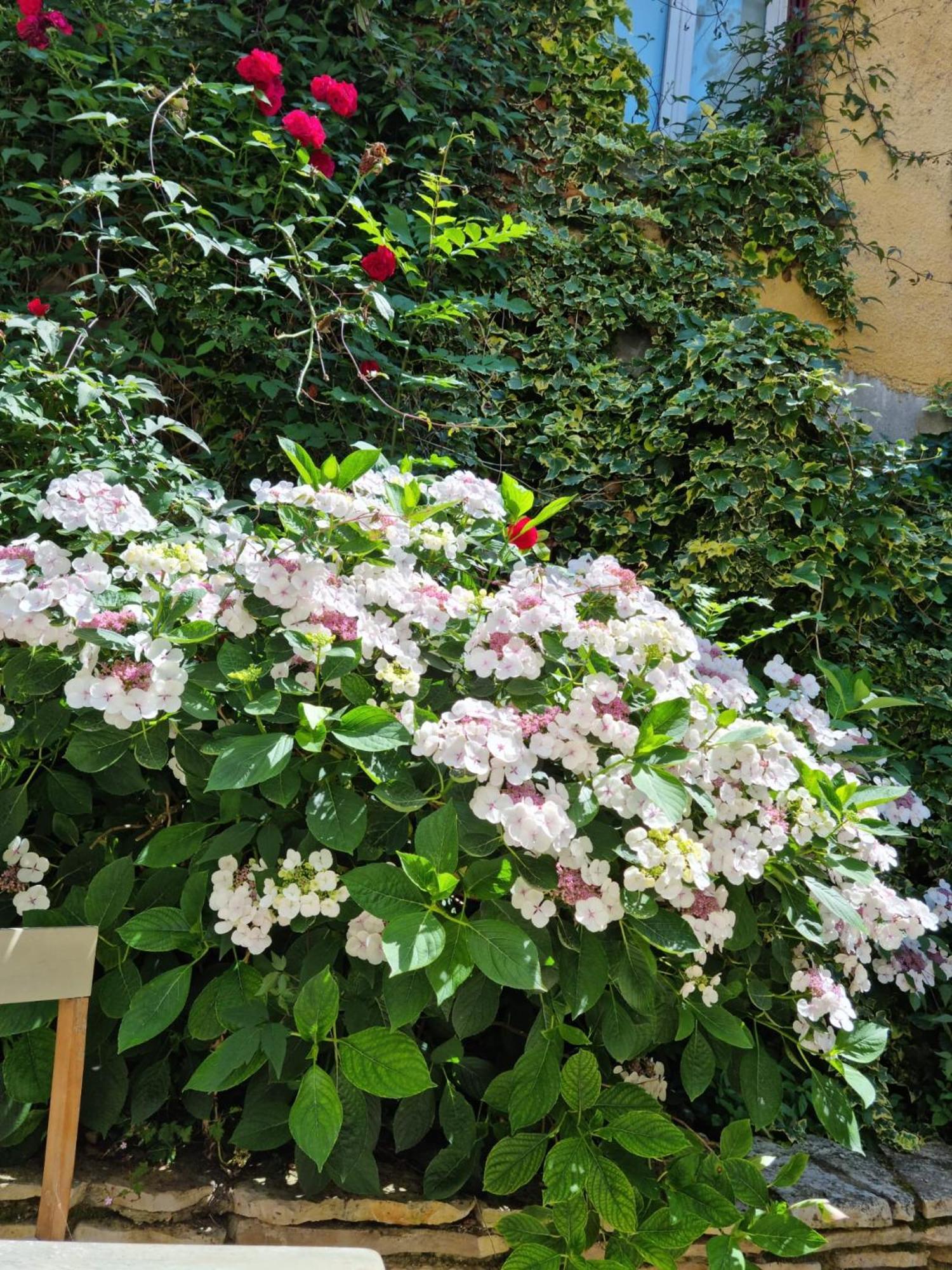 Suite De Charme Avec Jacuzzi Et Jardin Privatif Paris Au Calme Saint-Prix (Val d'Oise) Exterior foto